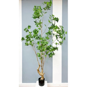 Растение Японский клен 210 см в кашпо - Зеленый