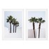Комплект из двух картин Palm Trees от EICHHOLTZ, EH.PCT.ACC.893, 1-я фотография мини