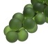 Декоративный элемент French Grapes от EICHHOLTZ, EH.DEL.ACC.1482, 5-я фотография мини