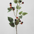 Ветка ежевики от IL FIORE, LF.DEL.BQ.4, 1-я фотография мини