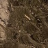 Консоль Adone от TONIN CASA, TC.CS.MON.144, 4-я фотография мини