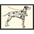 Коллаж Spot Dog от NEW IMPRESSION, NWI.PCT.AC.23, 1-я фотография мини