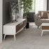 Тумба под TV отделка шпон ореха F, матовый лак RAL9002 от MOD INTERIORS, MDI.TV.SA.20, 1-я фотография мини