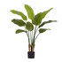 Дерево Стрелиция New Style (Sensitive Botanic) от TREEZ, TZ.PL.TR.1795, 1-я фотография мини