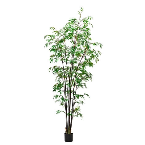 Бамбук (Листоколосник бамбуковый) 240см - Темно-зеленый от REAL TOUCH, RT.PL.DC.176