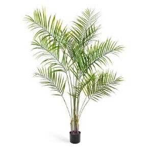 Декоративный элемент пальма