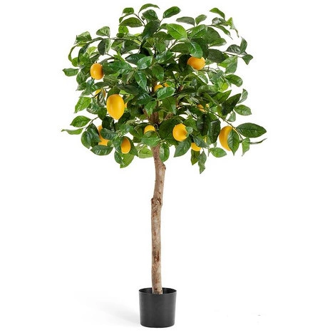Дерево Лимонное дерево с плодами на штамбе от TREEZ, TZ.PL.TR.220