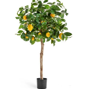 Дерево Лимонное дерево с плодами на штамбе