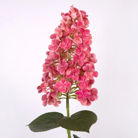 Гортензия метельчатая на стебле, темно-розовый от REAL TOUCH, RT.PL.DC.146