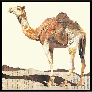 Коллаж Camel