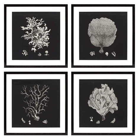 Комплект из четырех картин Black and Tan Corals от EICHHOLTZ, EH.PCT.ACC.823
