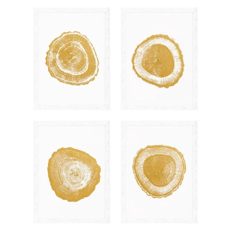 Комплект из четырех картин Gold Foil: Tree Rings от EICHHOLTZ, EH.PCT.ACC.865