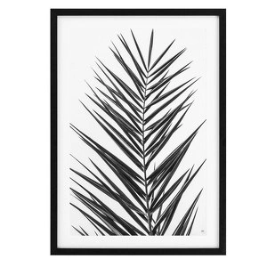 Комплект из двух картин Palm Leaves