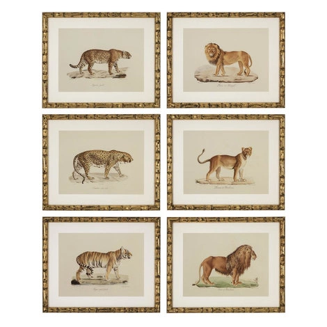 Комплект из шести картин Lion, Tigre, Jaguar от EICHHOLTZ, EH.PCT.ACC.869