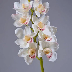 Орхидея Цимбидиум белая ветвь средняя
