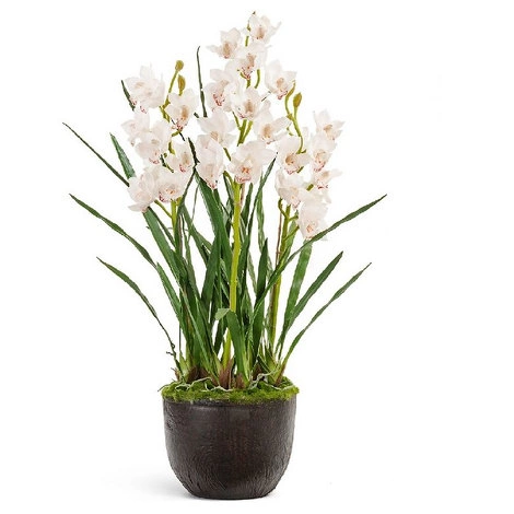 Орхидея Цимбидиум куст белый 3 ветки с имитацией земли (без кашпо) от TREEZ, TZ.PL.TR.643