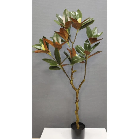 Растение Дерево Магнолии 120см в кашпо от REAL TOUCH, RT.PL.DC.1